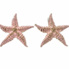 MOR597